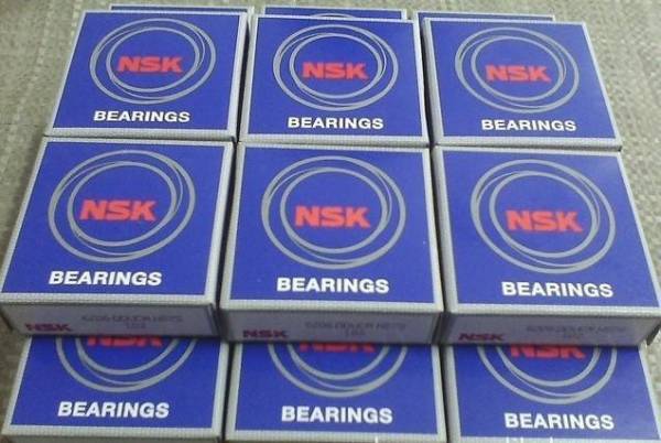NSK  1314